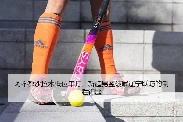 a-bu-dou-sha-la-mu-di-wei-dan-da-xin-jiang-nan-lan-po-jie-liao-ning-lian-fang-de-zhi-sheng-yao-shi-2-469.jpg